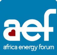 TerraLex Networking at Africa Energy Forum - June 17, 2025