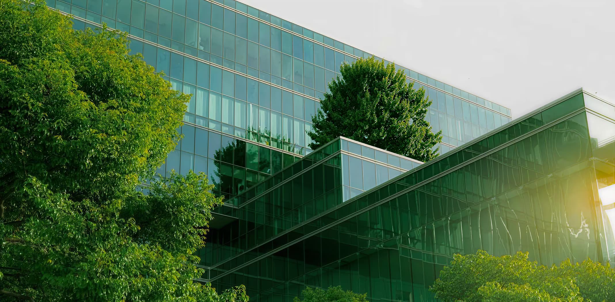 Cross-Border Guide to ESG & Sustainable Finance