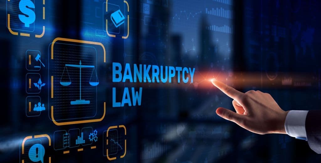 Bankruptcy/Insolvency